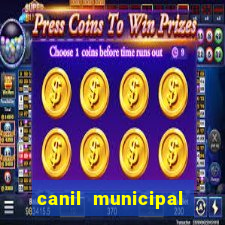 canil municipal porto alegre